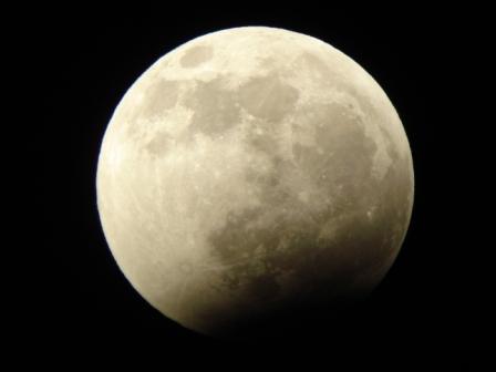 test orion 102 ed premium, davide sigillò